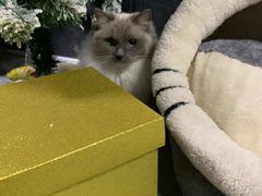 -零纪元VR体验馆·桌游(黄浦店)