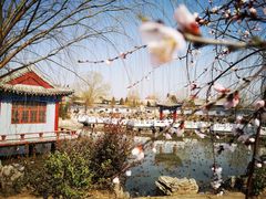 -纪晓岚文化园