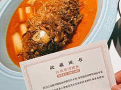 红烧黄河鲤鱼-阿五黄河大鲤鱼(纬三路店)