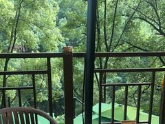 -巴倒烫陆派火锅山庄(南山总店)