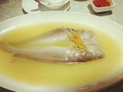 清蒸大黄鱼-湖庭壹品鸭王·传统北京烤鸭·别墅私房菜·庭院宵夜(江宁店)