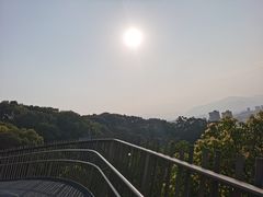 -福道