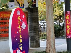 -清华大学附属小学商务中心区实验小学