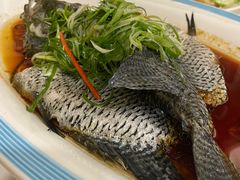 -天鲜阁·海鲜粤菜·33年老字号(石槎白云站店)