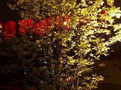 桂花楼-桂花楼淮扬中餐厅(浦东香格里拉店)