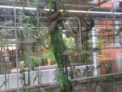 -荔城生鲜盛宴(番禺旗舰店)