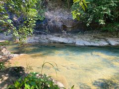 -广州白江湖森林公园