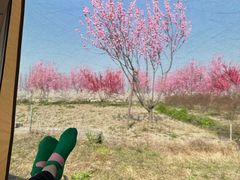 -嘉北郊野公园