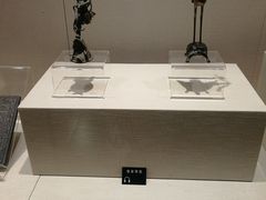 -张掖市博物馆
