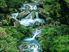 -大鄣山卧龙谷景区