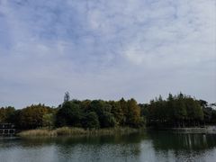-尚贤河湿地
