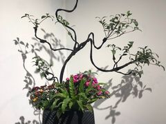 -迎泽公园