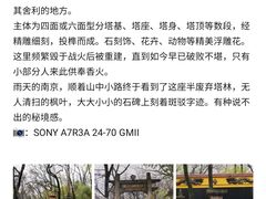-菊花台公园