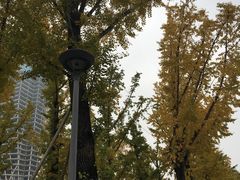 -百林公园-两江幸福广场