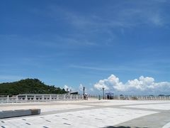 -野狸岛