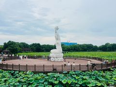 -荷塘月色湿地公园·向阳花洲