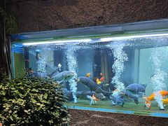 -又见炊烟私房菜(敬亭路店)