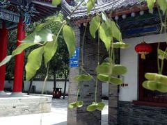 -西安大兴汤院遗址公园