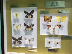 -上海昆虫博物馆