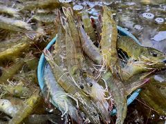 -聚盛源蒸汽海鲜火锅烤肉自助(巨川金海岸购物广场店)