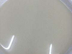 豆汁-海碗居(牡丹园店)