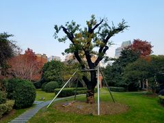 -Patek Philippe百达翡丽(上海源邸店)