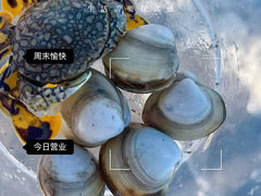 -启东黄金海滩景区