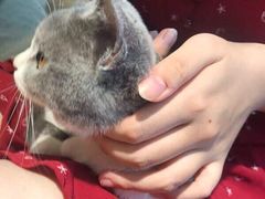 -康乐宝动物医院