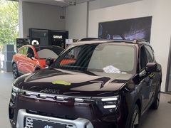 -上海浦东smart汽车全功能店(金桥店)