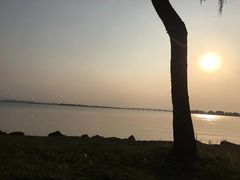 -漕湖湿地公园