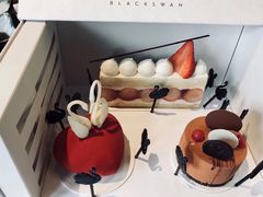 爱心天鹅-BLACKSWAN黑天鹅(环球店)