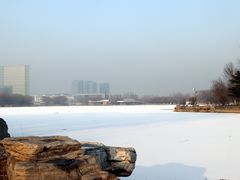 -大兴滨河森林公园