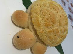 海龟菠萝油-蔡澜点心·粤菜(西单大悦城店)