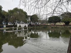 -团城山公园