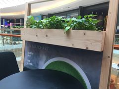 -36抹茶·千层与鲜果茶(欢乐海岸店)