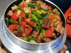 -骨气鼓气羊棒骨·羊蝎子(住总万科广场店)