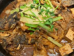 -老板恋上鱼(恒隆广场店)