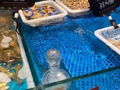 水产区-恭喜上堓砂锅焗·海鲜大排档(闵行龙湖店)