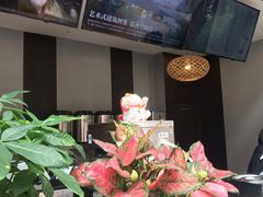 -珍煮丹·黑糖饮品专卖(东城万达店)