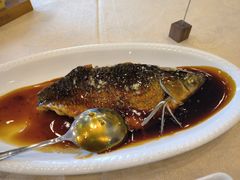 -楼外楼(西湖景区孤山路店)