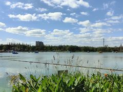 -上海长兴岛郊野公园