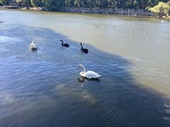 -石家庄市动物园