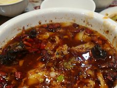 -晋B2008刀削面(小南庄店)