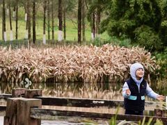-白鹭湾湿地公园