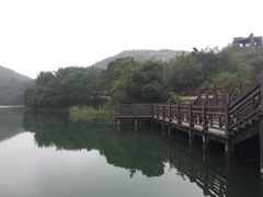 -白马涧龙池景区