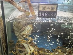 -蟹之国·精品蟹料理(极地店)