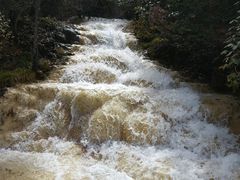 -黄龙山原始森林景区