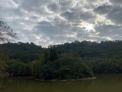 -滴水岩森林公园