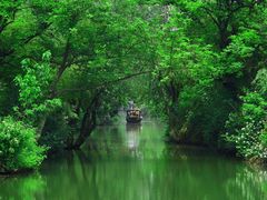 -西溪国家湿地公园