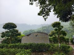 -国恩寺